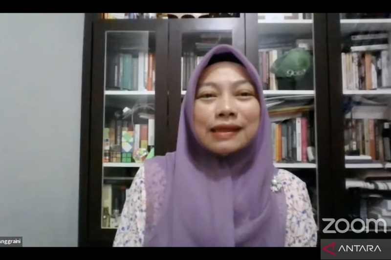 Read more about the article Perludem ingatkan rambu-rambu MK terkait penjabat kepala daerah