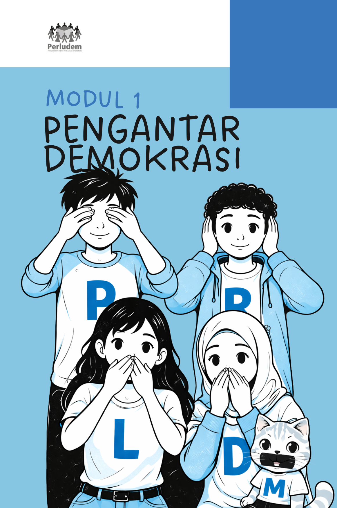 Read more about the article Modul Akademi Demokrasi Perludem